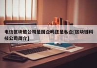 电信区块链公司是国企吗还是私企[区块链科技公司简介]